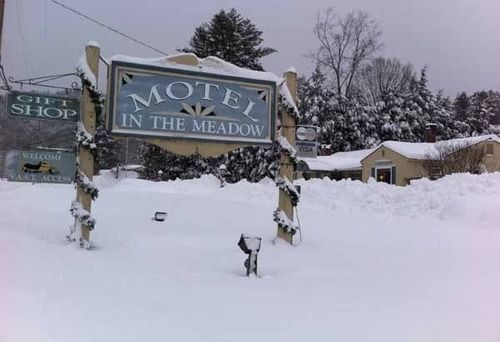 Motel In The Meadow Chester Dış mekan fotoğraf